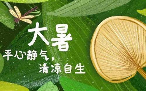 大暑之際，飛揚(yáng)聚焦與您共享夏日清涼
